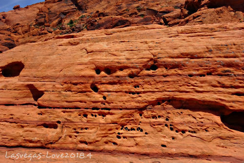 f:id:lasvegas-love:20190210133104j:plain