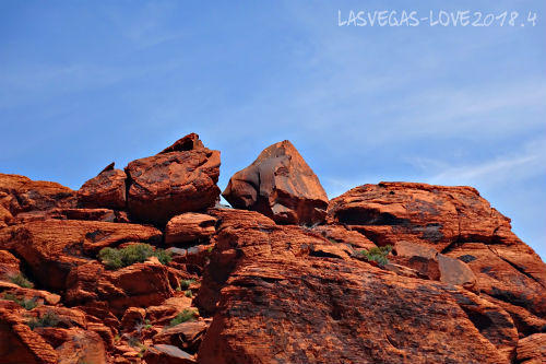 f:id:lasvegas-love:20190210134741j:plain