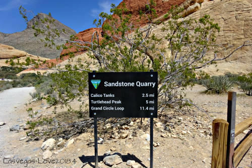 f:id:lasvegas-love:20190210143818j:plain