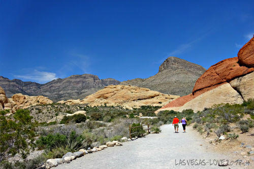 f:id:lasvegas-love:20190210151012j:plain