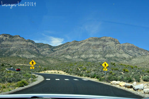 f:id:lasvegas-love:20190210152805j:plain