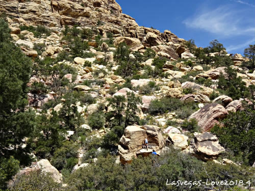 f:id:lasvegas-love:20190210212645j:plain