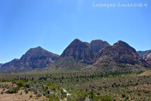 f:id:lasvegas-love:20190211012725j:plain