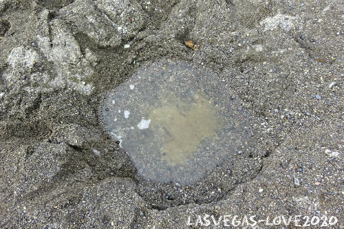 屈斜路湖砂湯