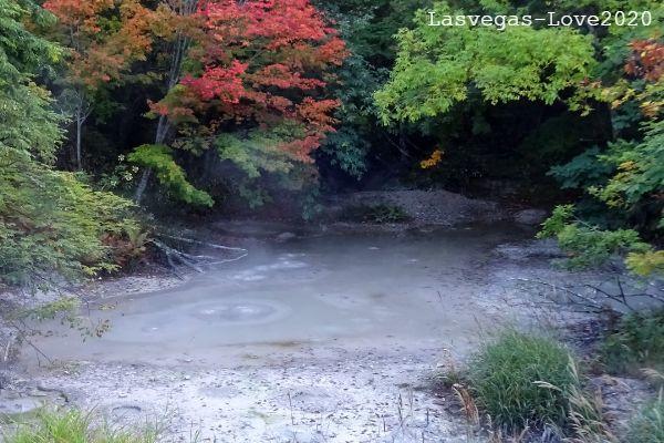 ボッケ 阿寒湖