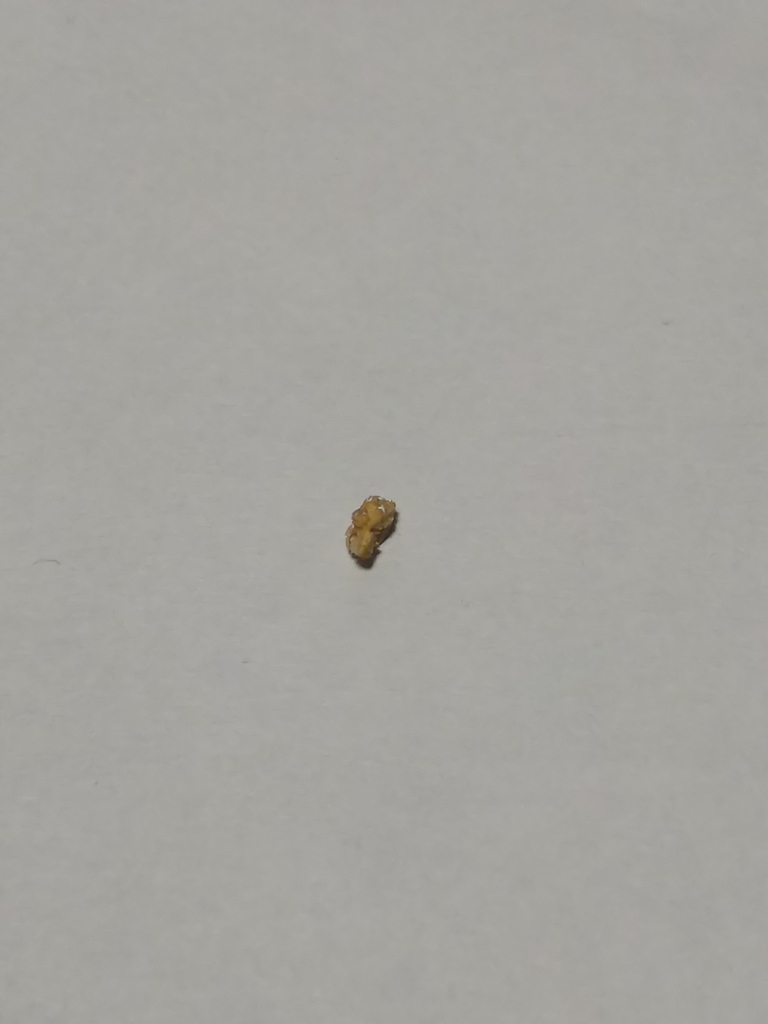 f:id:latchmad:20181130232339j:plain