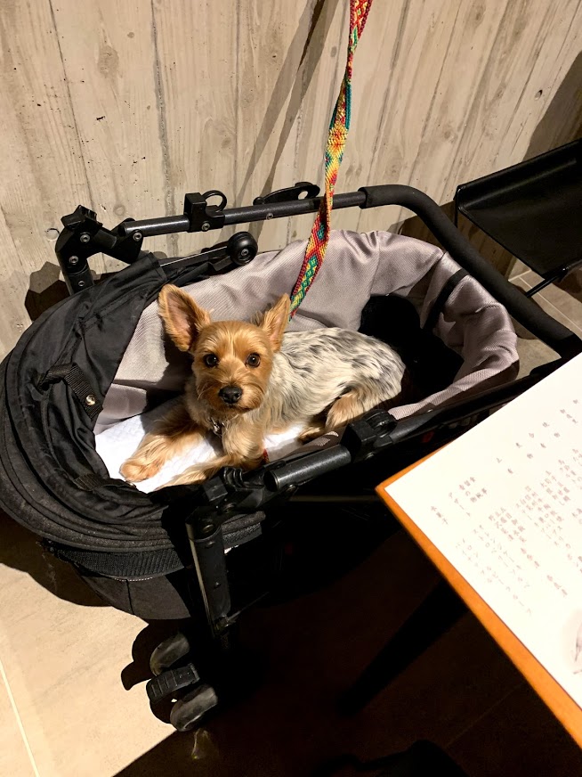 レジーナリゾート旧軽井沢 宿泊