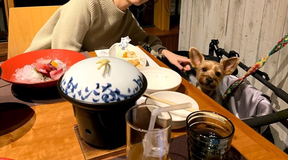 レジーナリゾート旧軽井沢　夕食