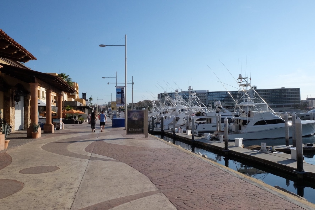 ロスカボス　ホエールウォッチング