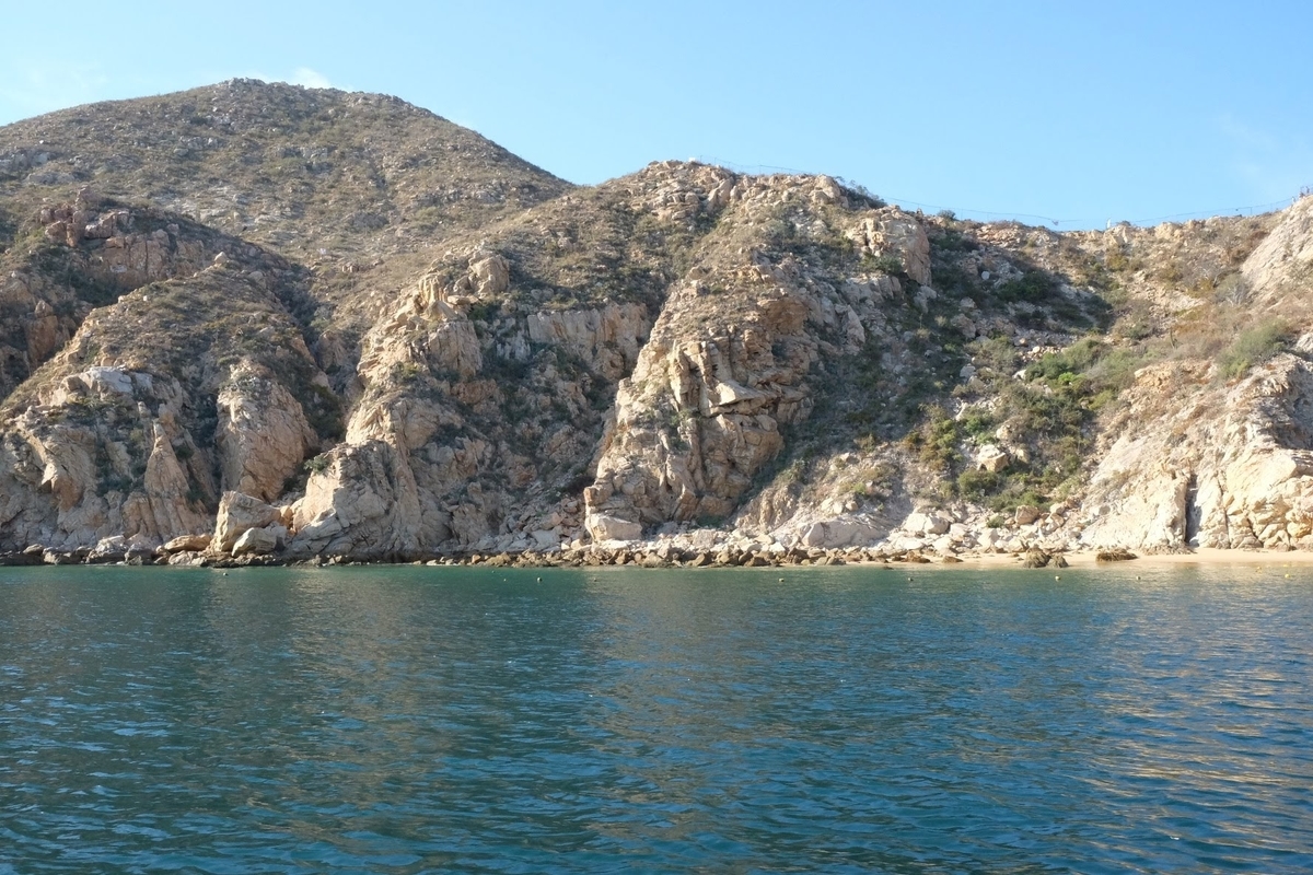 ロスカボス　ホエールウォッチング