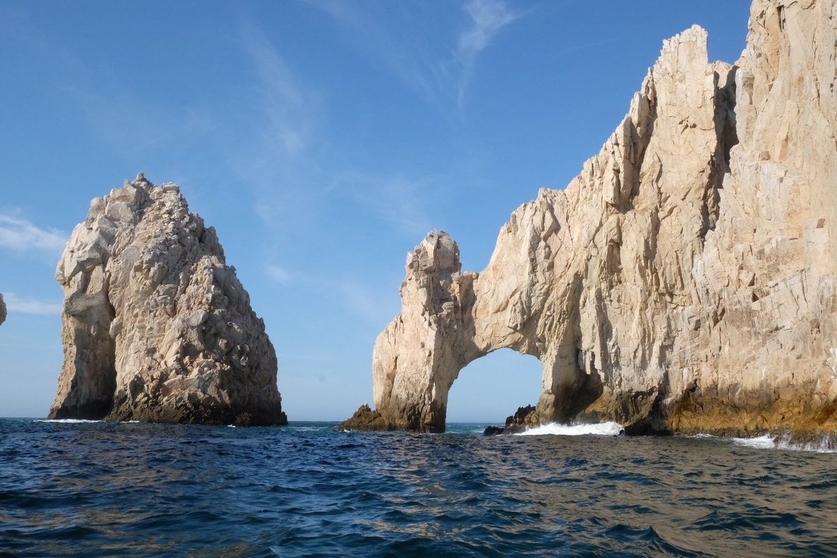 ロスカボス　ホエールウォッチング