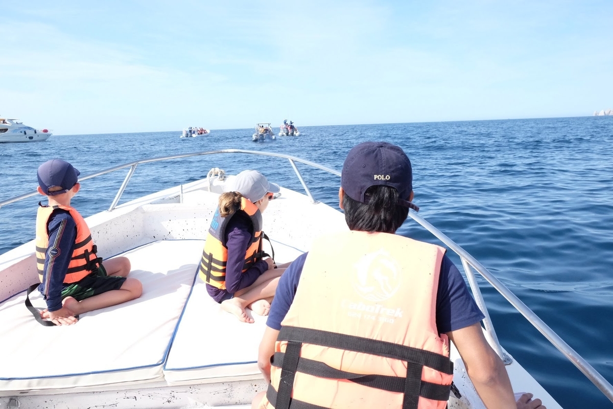 ロスカボス　ホエールウォッチング