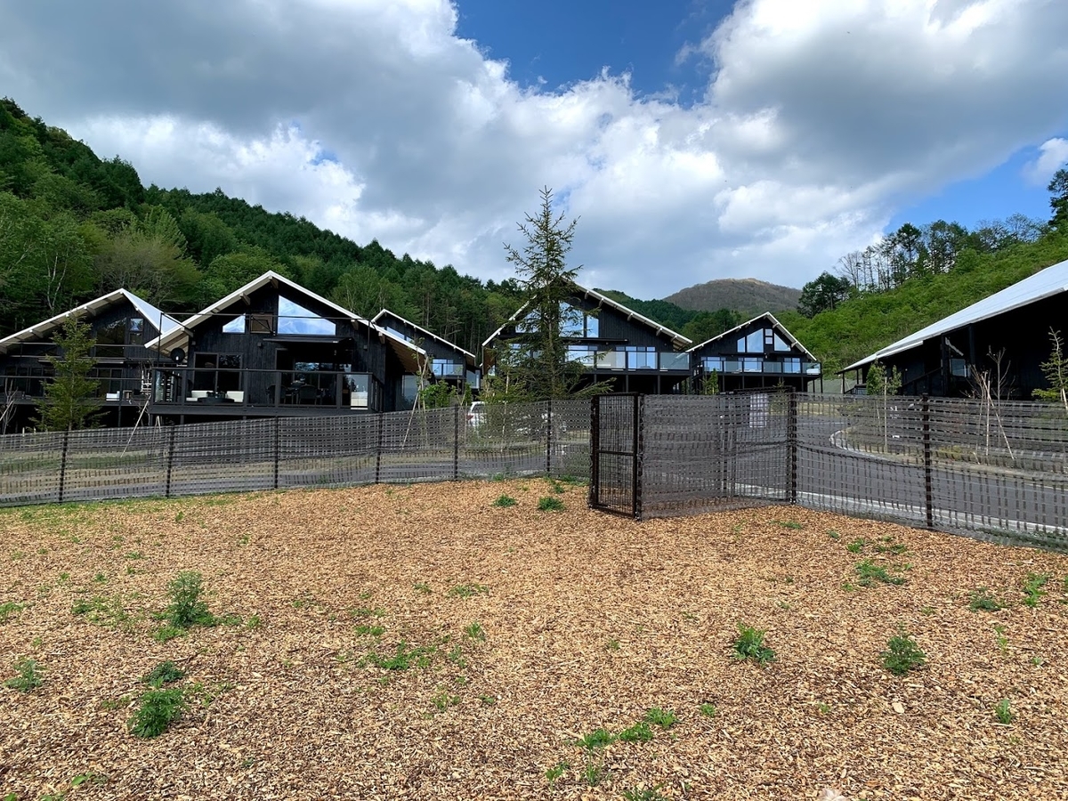 あさま空山望　犬