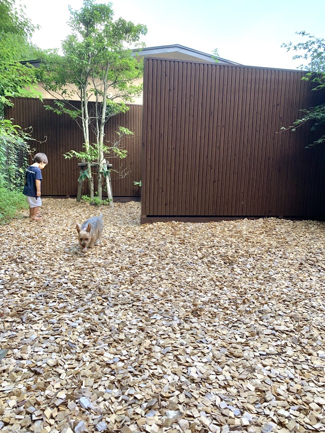 箱根雲外荘　ブログ