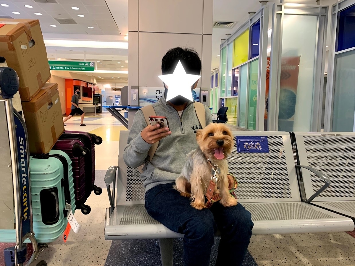 犬とアメリカ コネチカット州へお引越し 旅するヨーキー