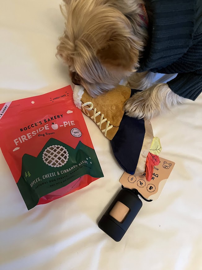 キャッツキル　リゾート