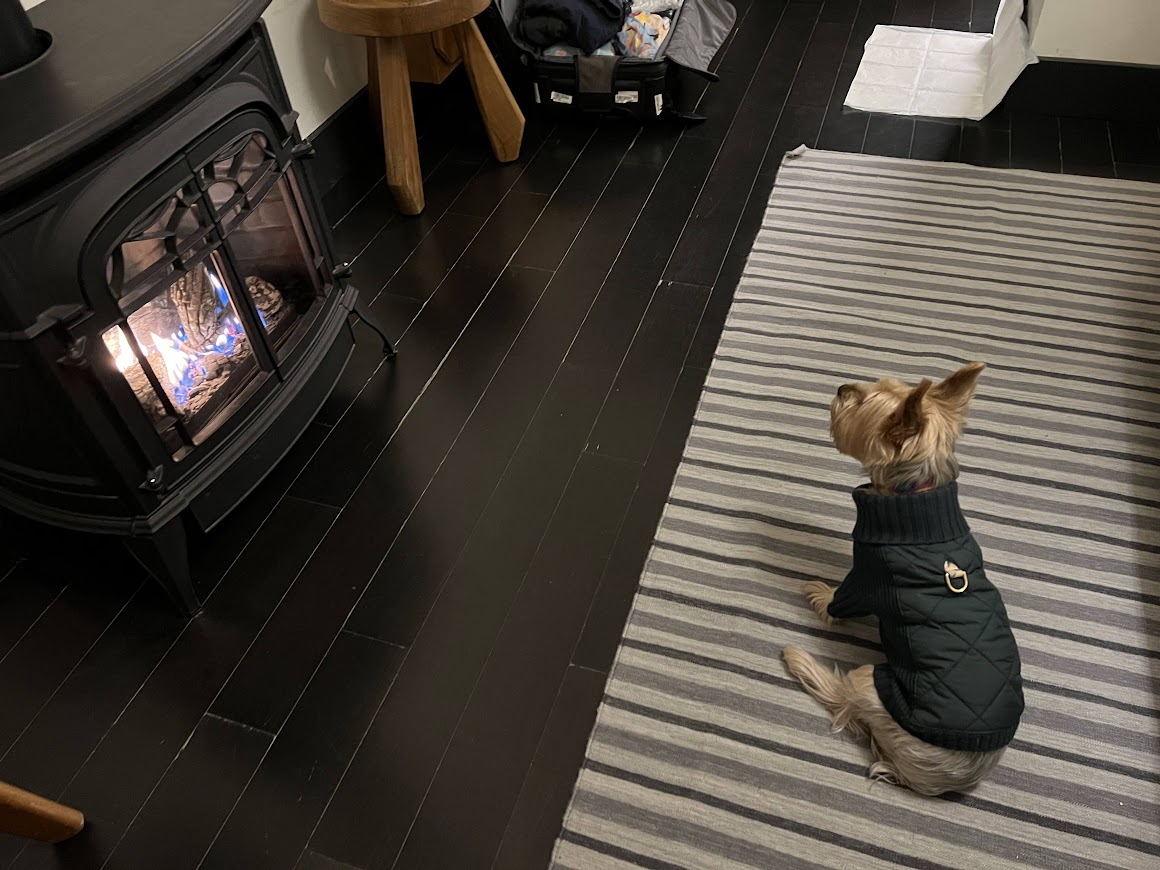 キャッツキル　リゾート