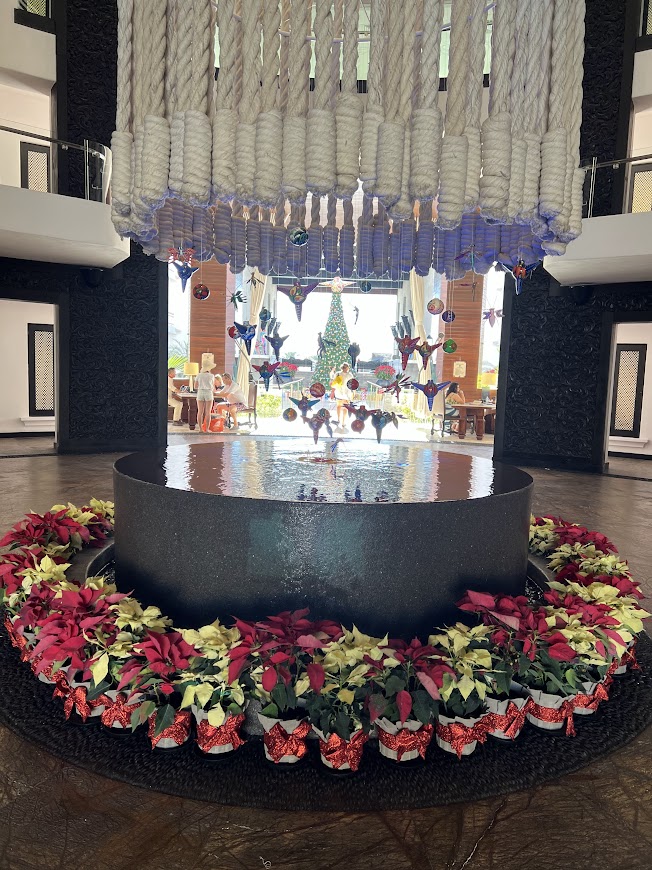 ロスカボス 子連れ