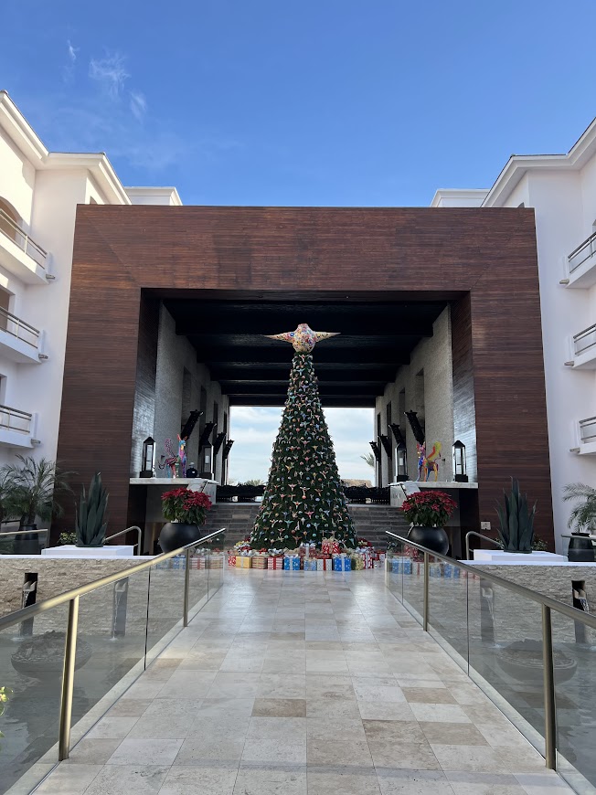 ロスカボス ホテル おすすめ