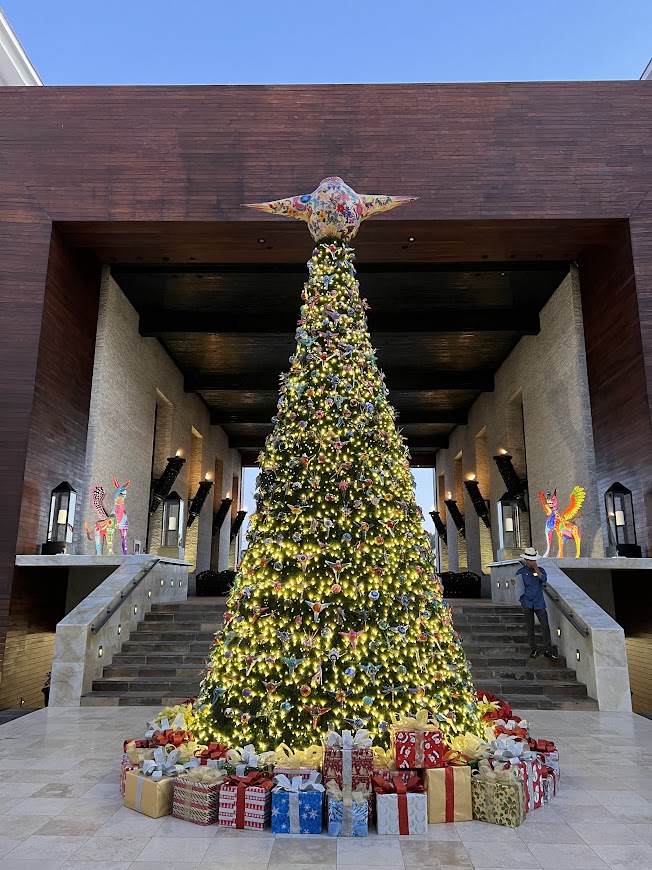 ロスカボス ホテル おすすめ