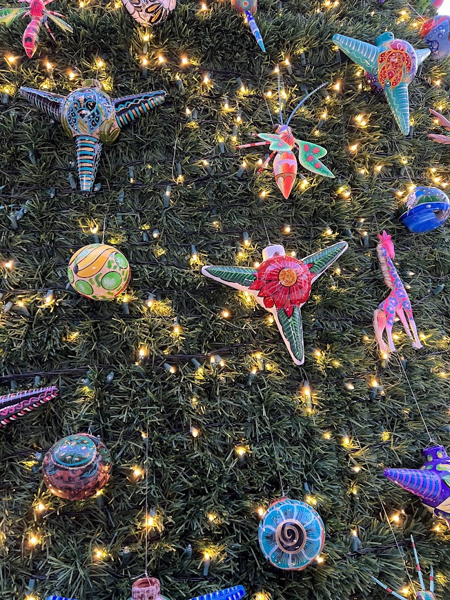 ロスカボス クリスマス