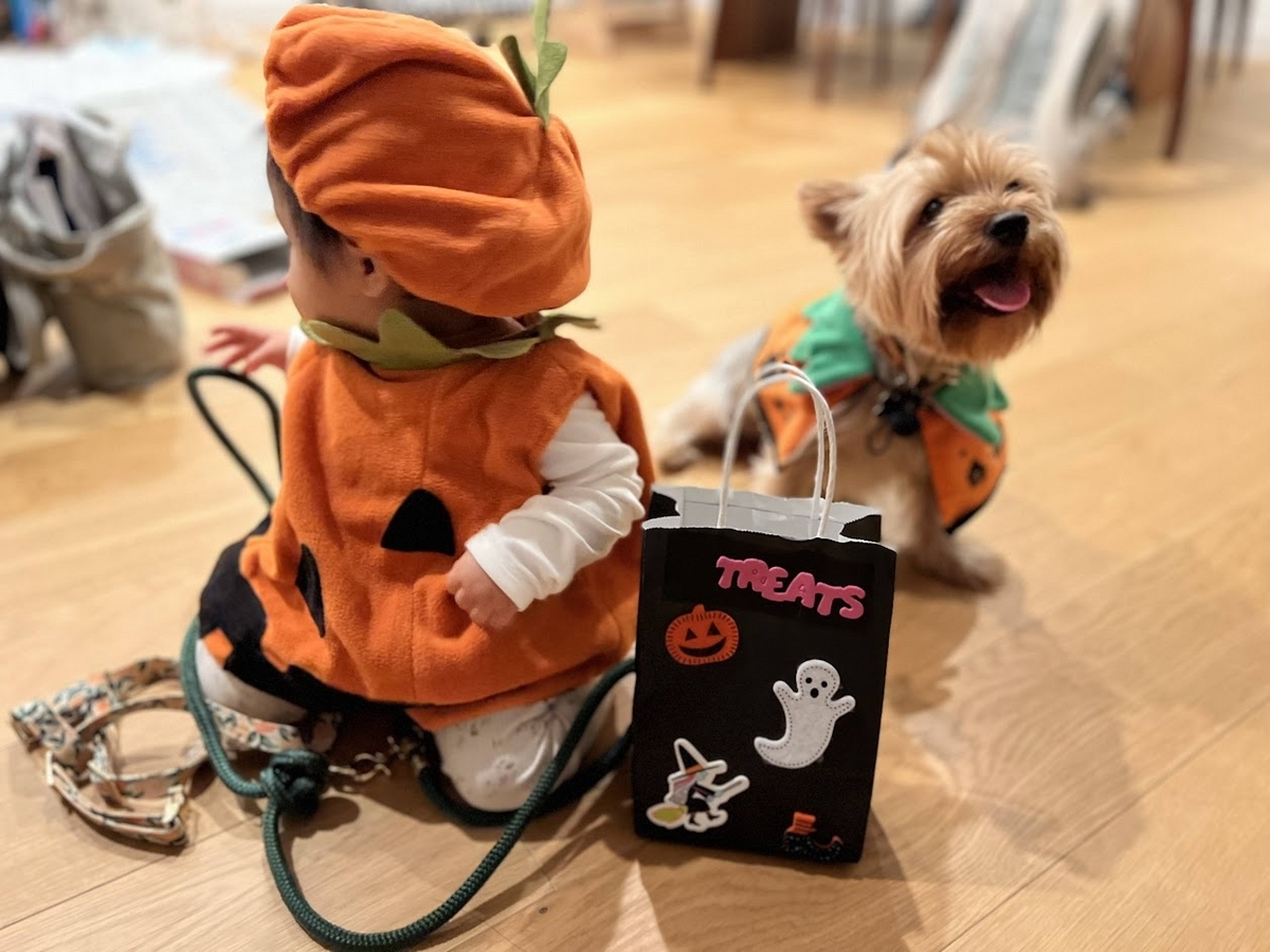 アメリカ留学帯同記】本場のハロウィンイベントに参加 - 旅するヨーキー