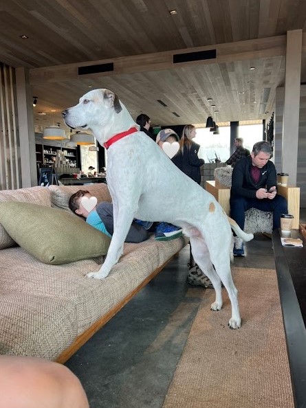 ケープコッド　旅行