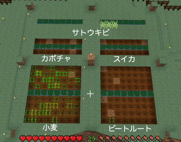 １１家庭菜園 ラテーラのマイクラブログ