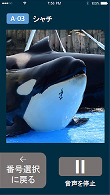 名古屋港水族館利用者向け「新音声ガイドアプリ」