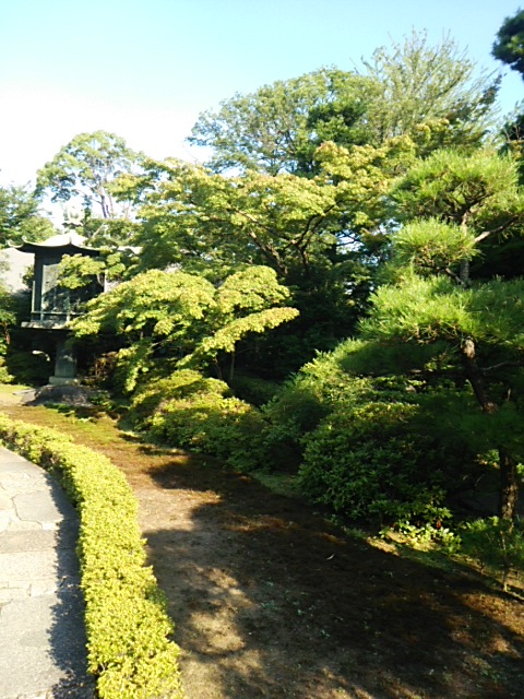 根津美術館庭園