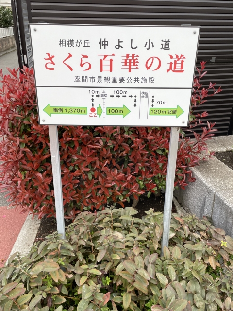 相模が丘仲よし小道 さくら百華の道 案内板