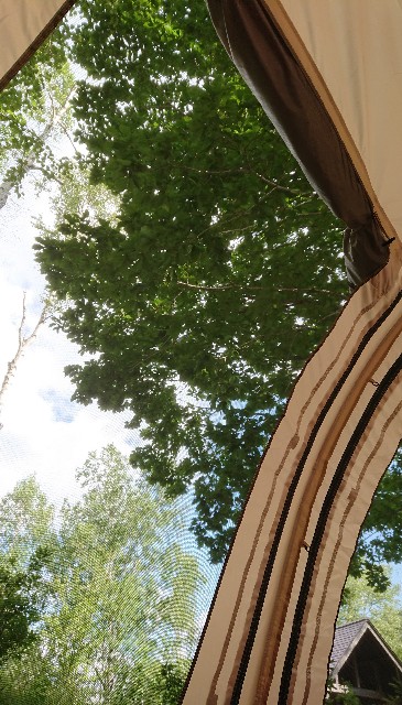 f:id:lattelattelatte:20190819100703j:image f:id:lattelattelatte:20190819100703j:image