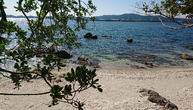 f:id:lattelattelatte:20191123195130j:image