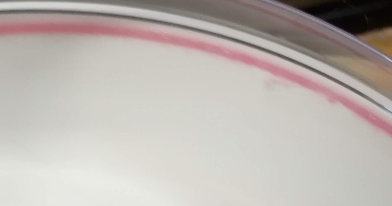 f:id:laugh2019r1:20210905135429j:plain