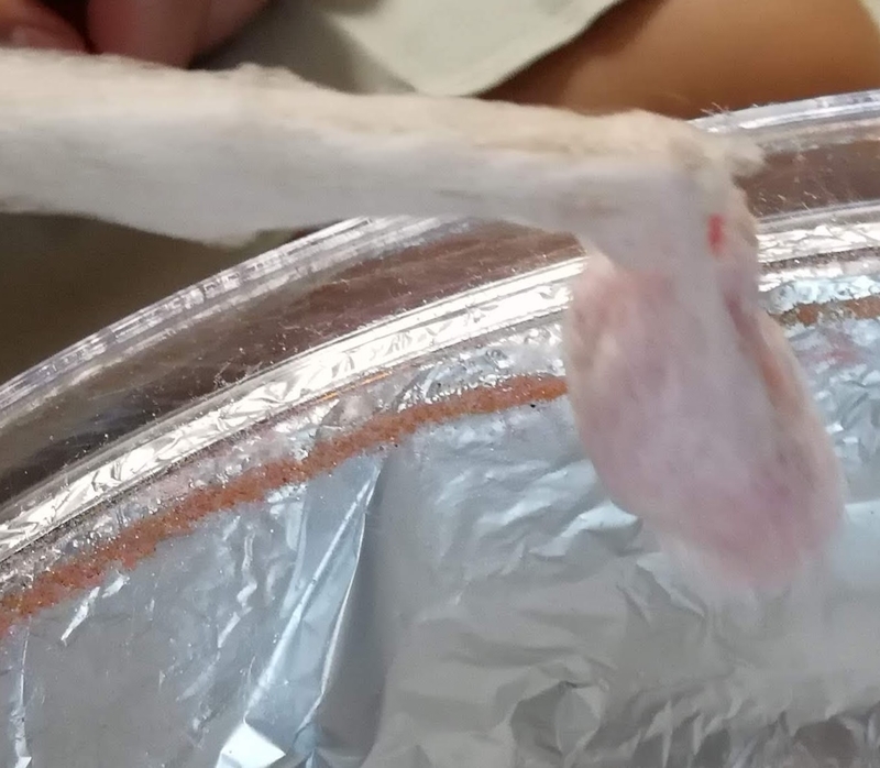 f:id:laugh2019r1:20210905135642j:plain