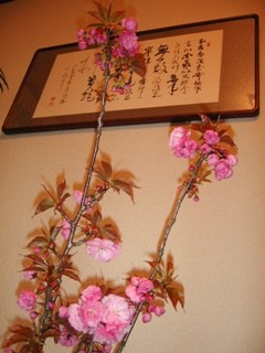 f:id:laurara:20060420103647j:image