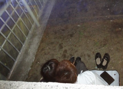 f:id:laurara:20100731223535j:image