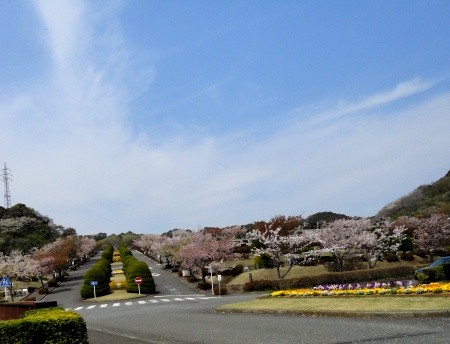 f:id:laurara:20110418100600j:image