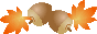 f:id:laurara:20171003102613g:image f:id:laurara:20171003102613g:image