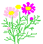 f:id:laurara:20171021093321g:image f:id:laurara:20171021093321g:image