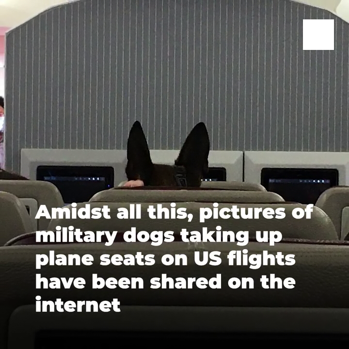 f:id:lautreamont:20210823165714p:plain