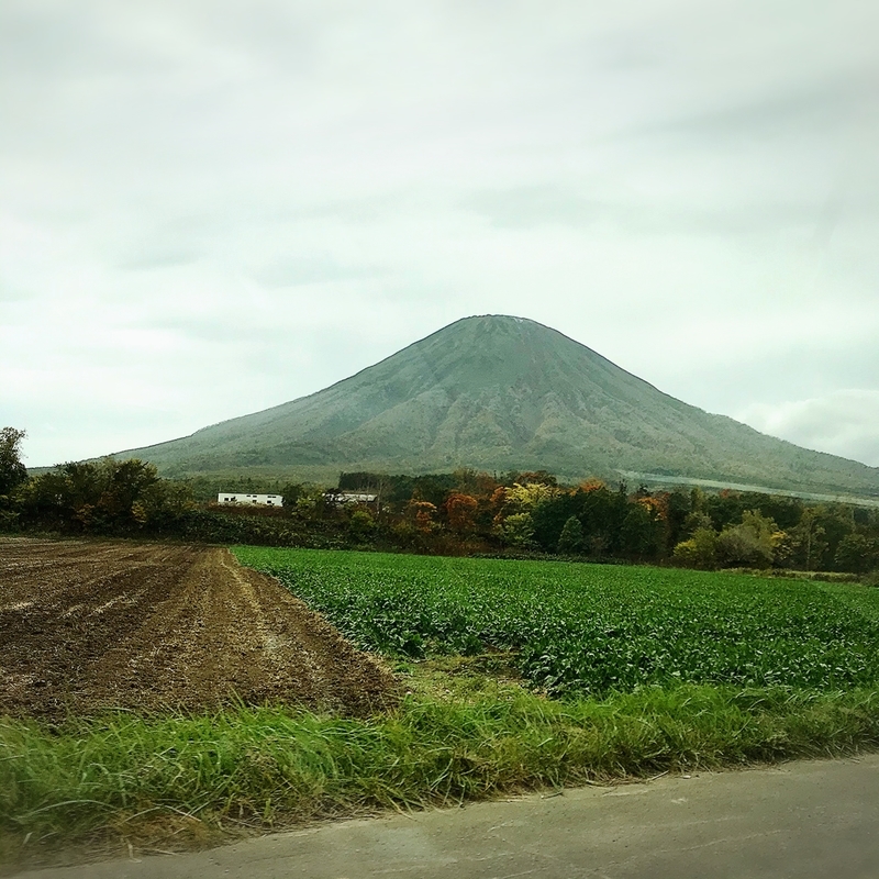 f:id:lavechamo:20191012181233j:plain f:id:lavechamo:20191012181233j:plain