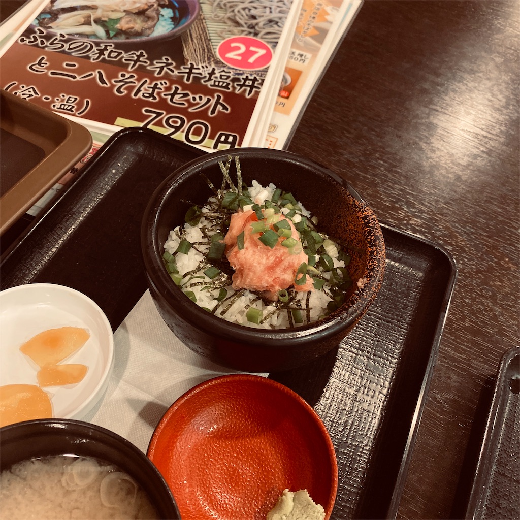 小さい丼ご飯付き