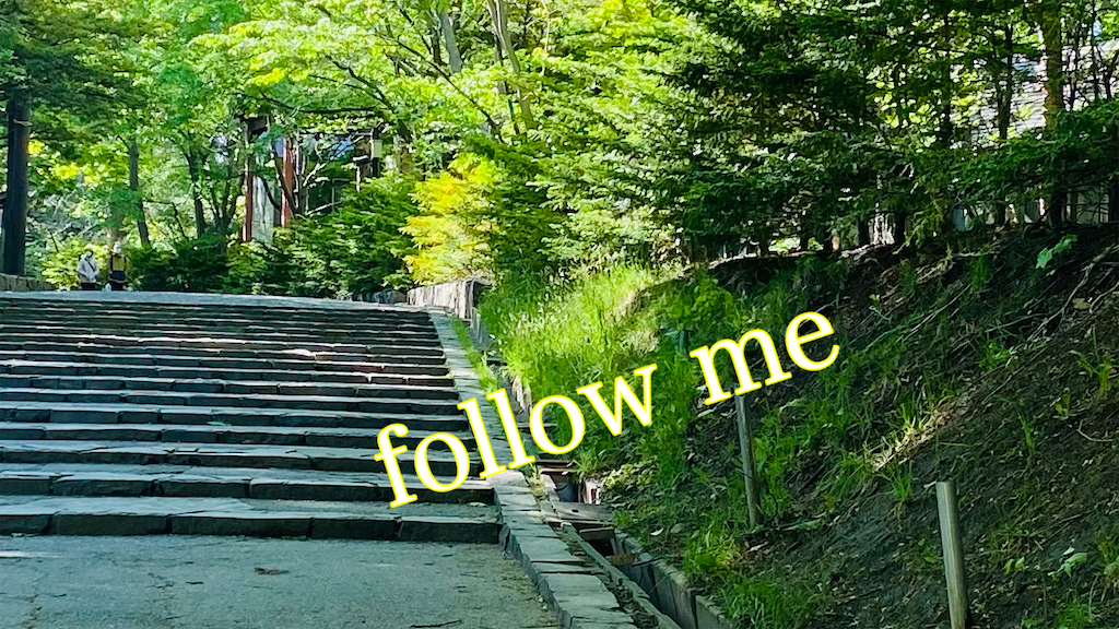 f:id:lavechamo:20210602070552p:image