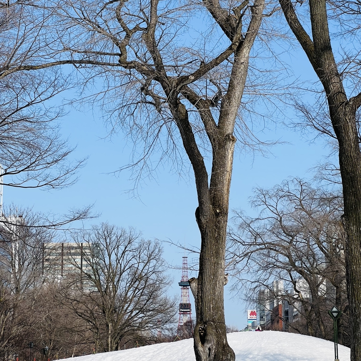 札幌　大通公園