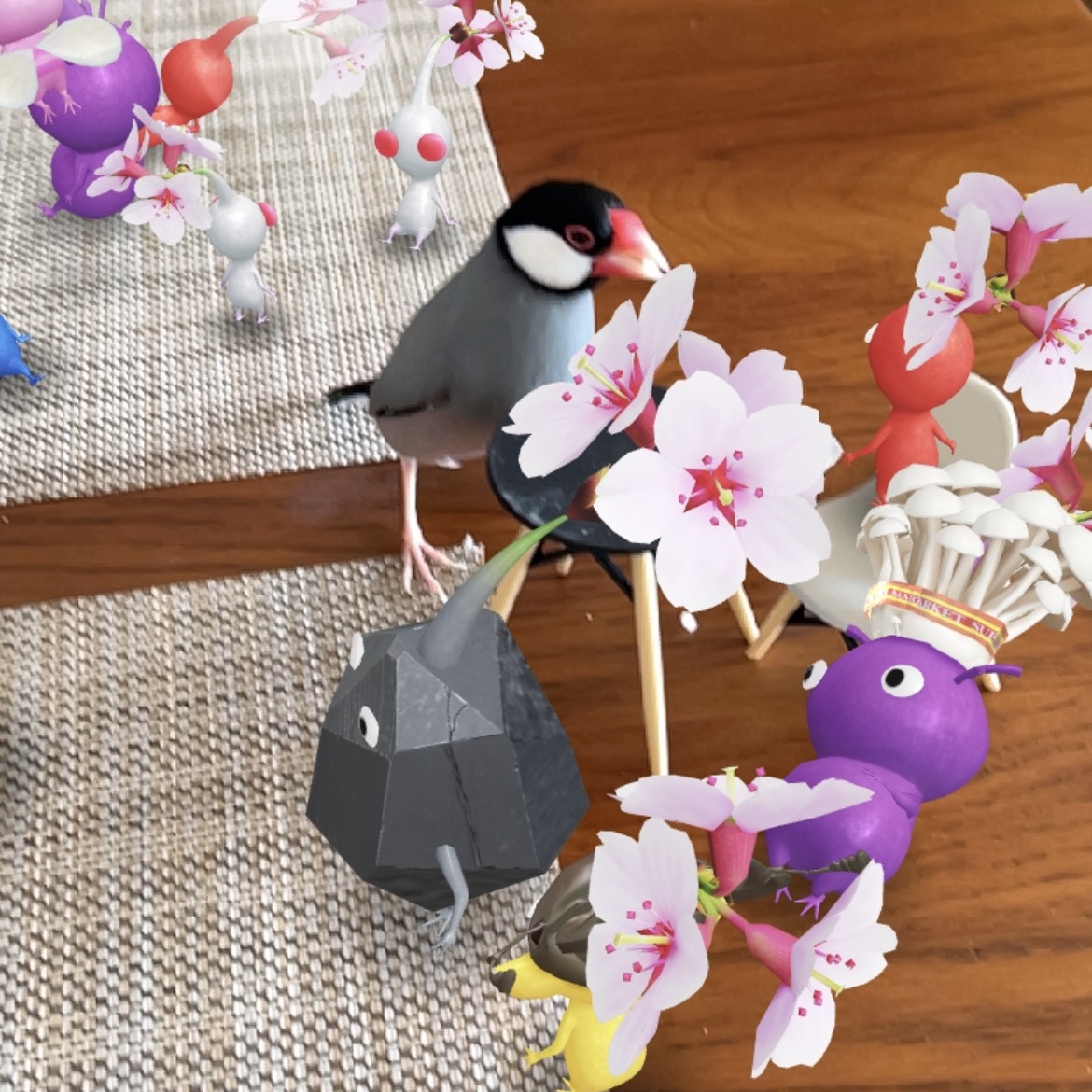 文鳥とピクミン