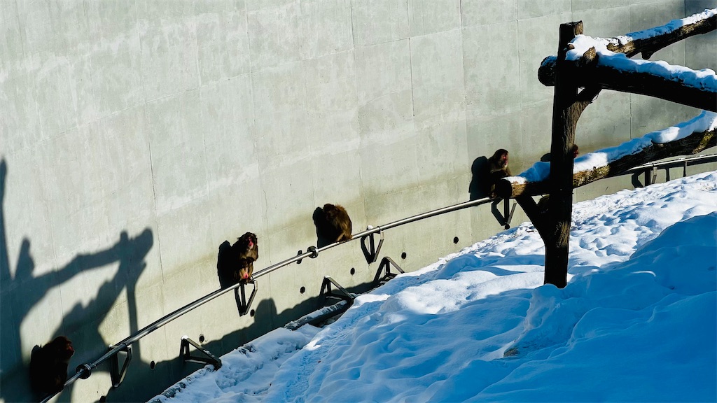 f:id:lavechamo:20230102104903j:image