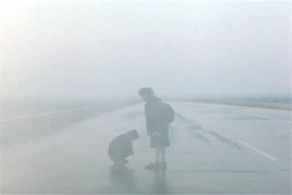 新品ブルーレイ「霧の中の風景('88ギリシャ/仏/伊)」テオ