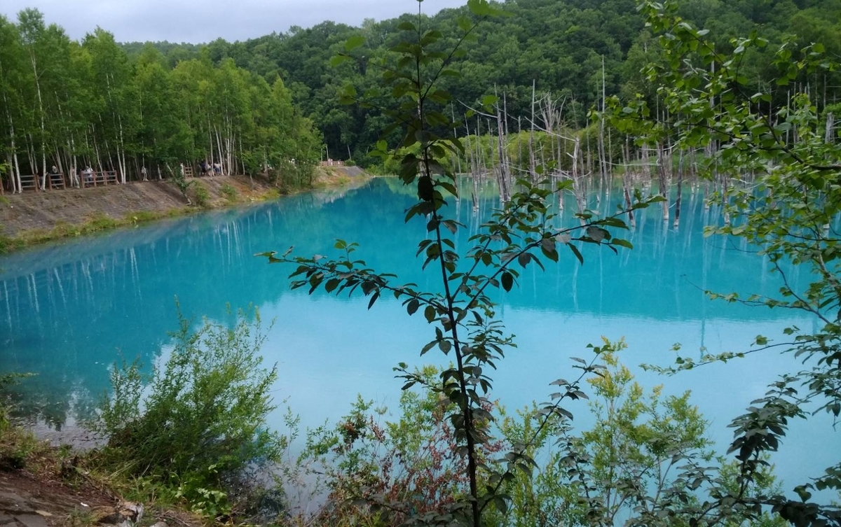 f:id:lavender38:20190801093135j:plain f:id:lavender38:20190801093135j:plain