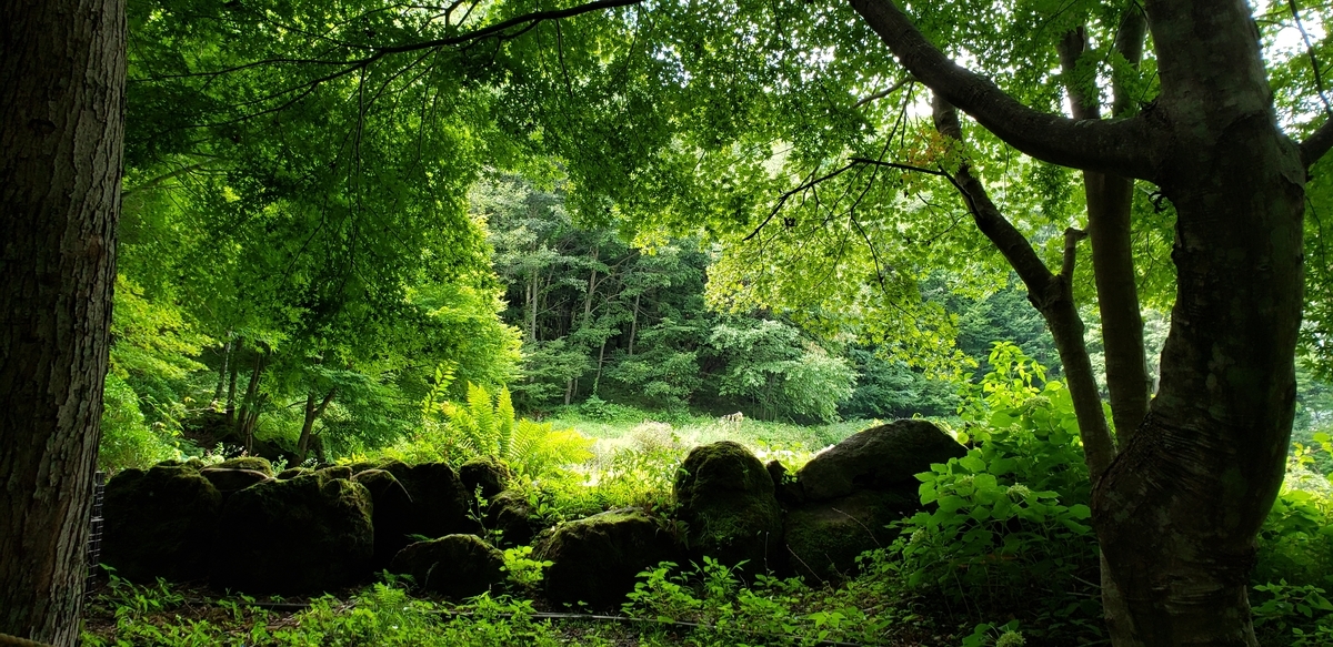 f:id:lavender38:20190903105122j:plain